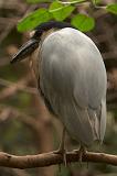 IMG_7971
