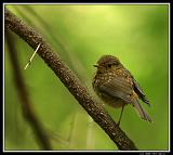 IMG_3745M