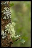 IMG_4979M