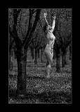 CRW_9606BWM