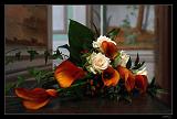 IMG_6854M