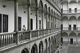 IMG_5533BW