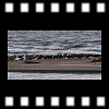  Spolu je dobre, 2002-03-19, Dimage7 