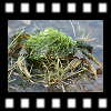  Pustevník 2002-09-21, Dimage7 