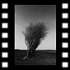  Závetrie i, 2002-05-09, Dimage7 