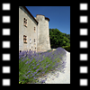  Chateau de Montmaur 